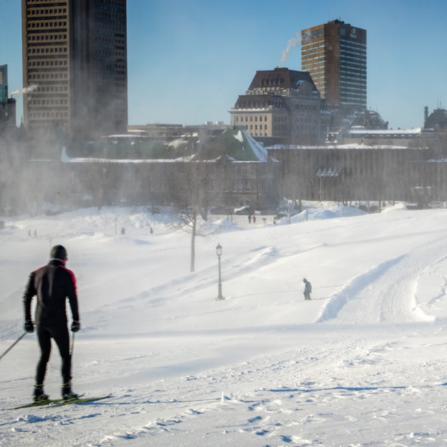 Snowshoe Skiing Excursion to the Plains of Abraham