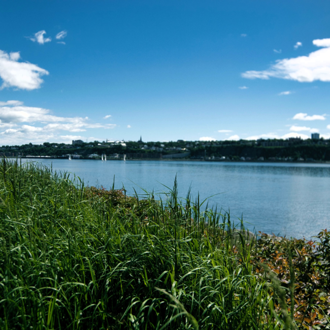 Visite guidée panoramique à vélo de Québec à vélo