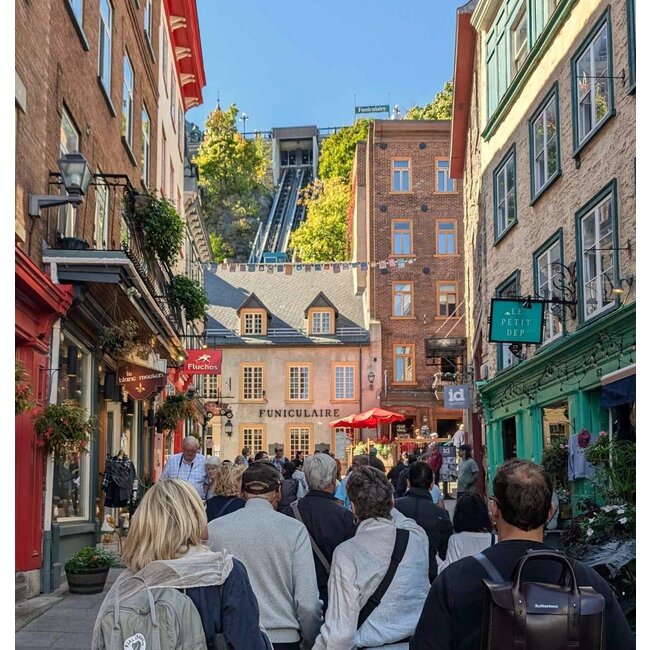 Visite à pied panoramique du Vieux Québec