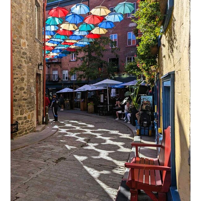 Visite à pied panoramique du Vieux Québec