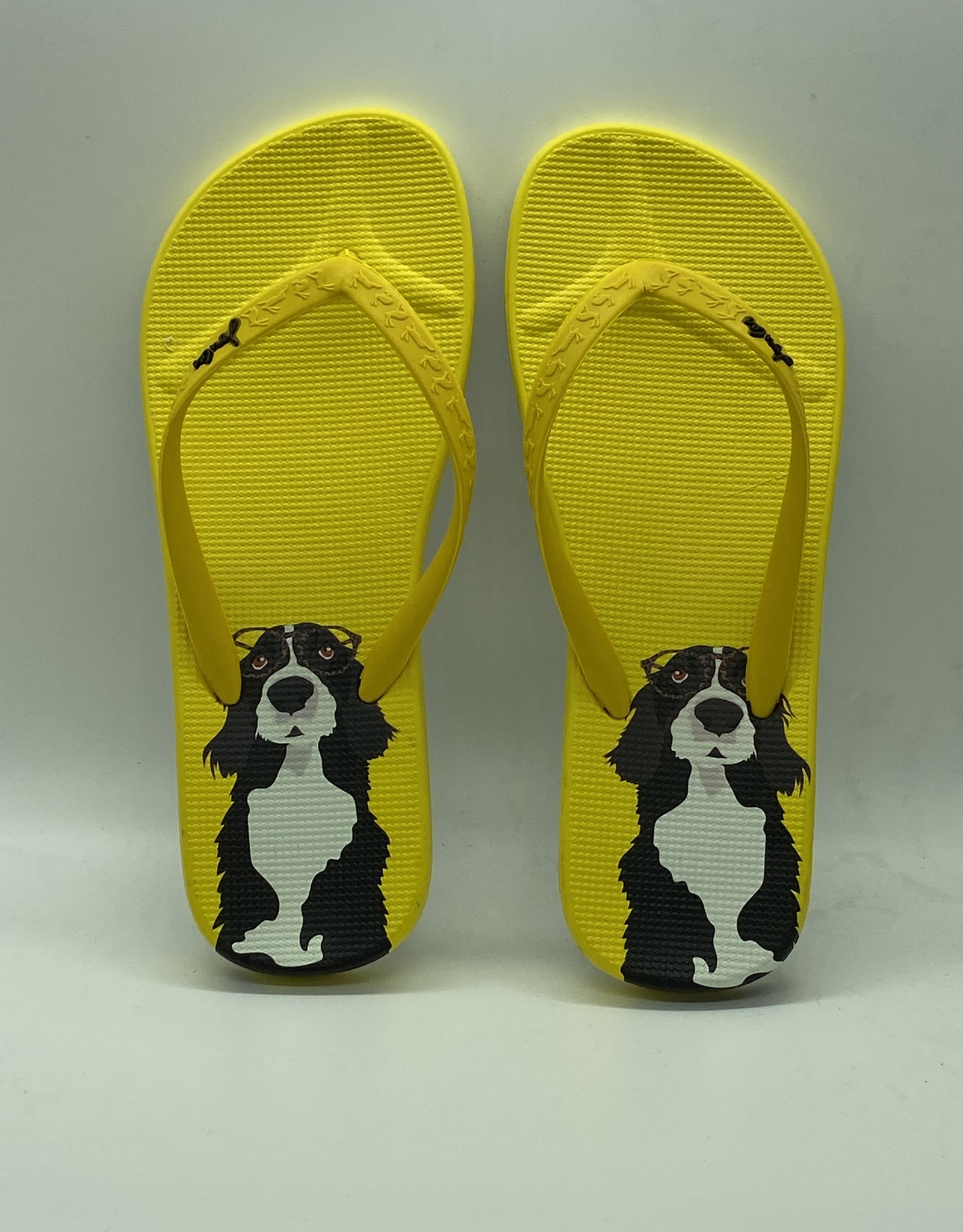 Joules flip flop - Goody Too Shoes