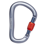 Black Diamond RockLock Screwgate Locking Carabiner