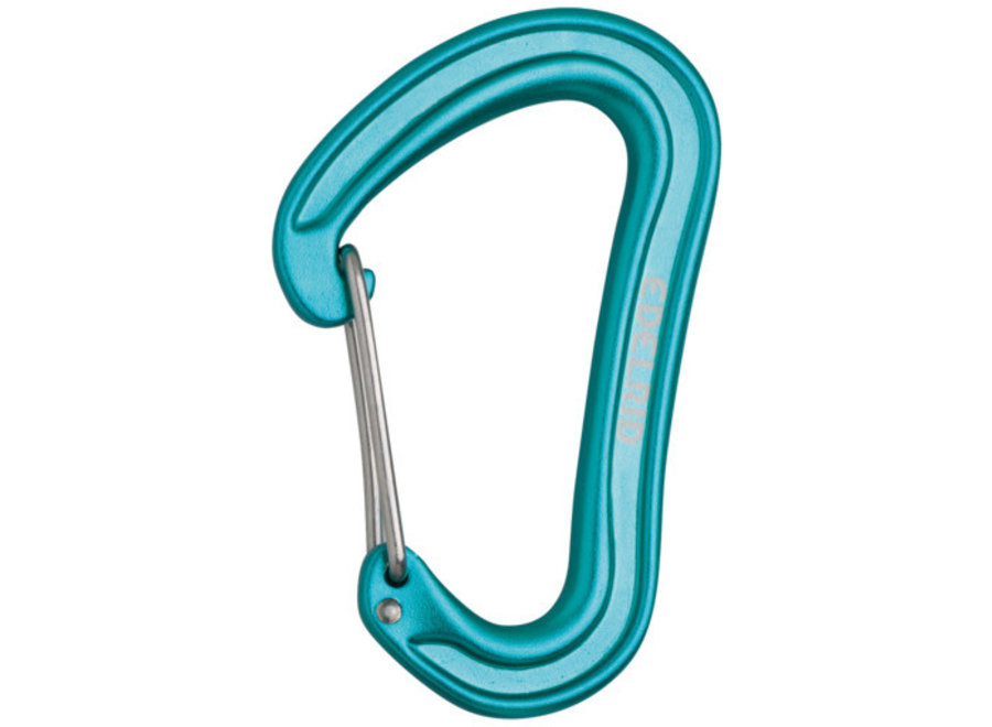 Edelrid Nineteen G Wiregate Carabiner Icemint