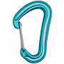 Edelrid Nineteen G Wiregate Carabiner Icemint