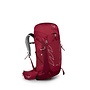 Osprey Talon 33 Backpack
