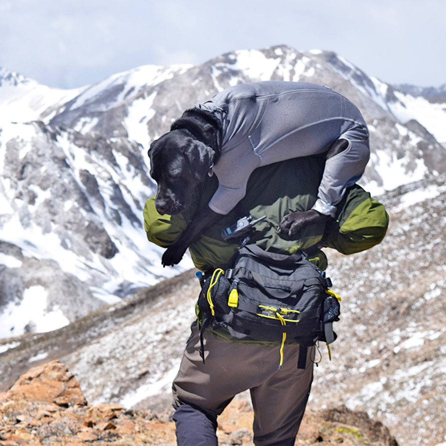 Day & Hydration Packs 