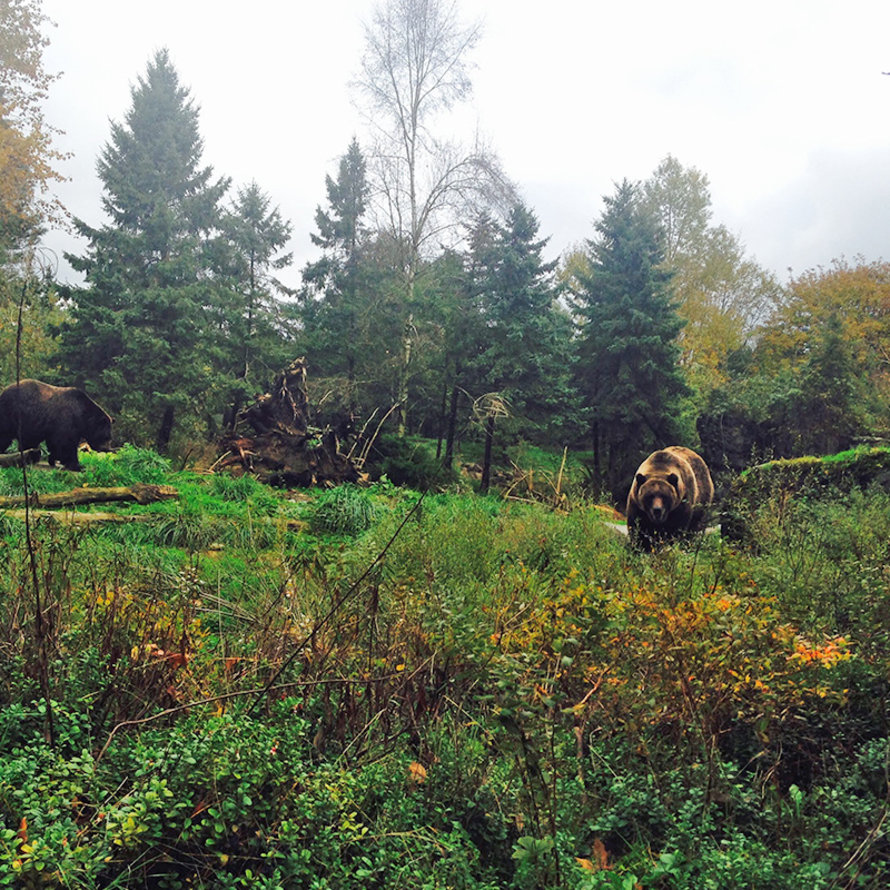 Bear Spray & Canisters