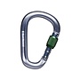 Black Diamond Pearlock Screwgate Carabiner