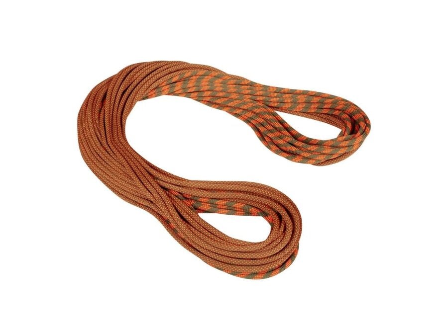 Mammut 9.5 Crag Dry Climbing Rope
