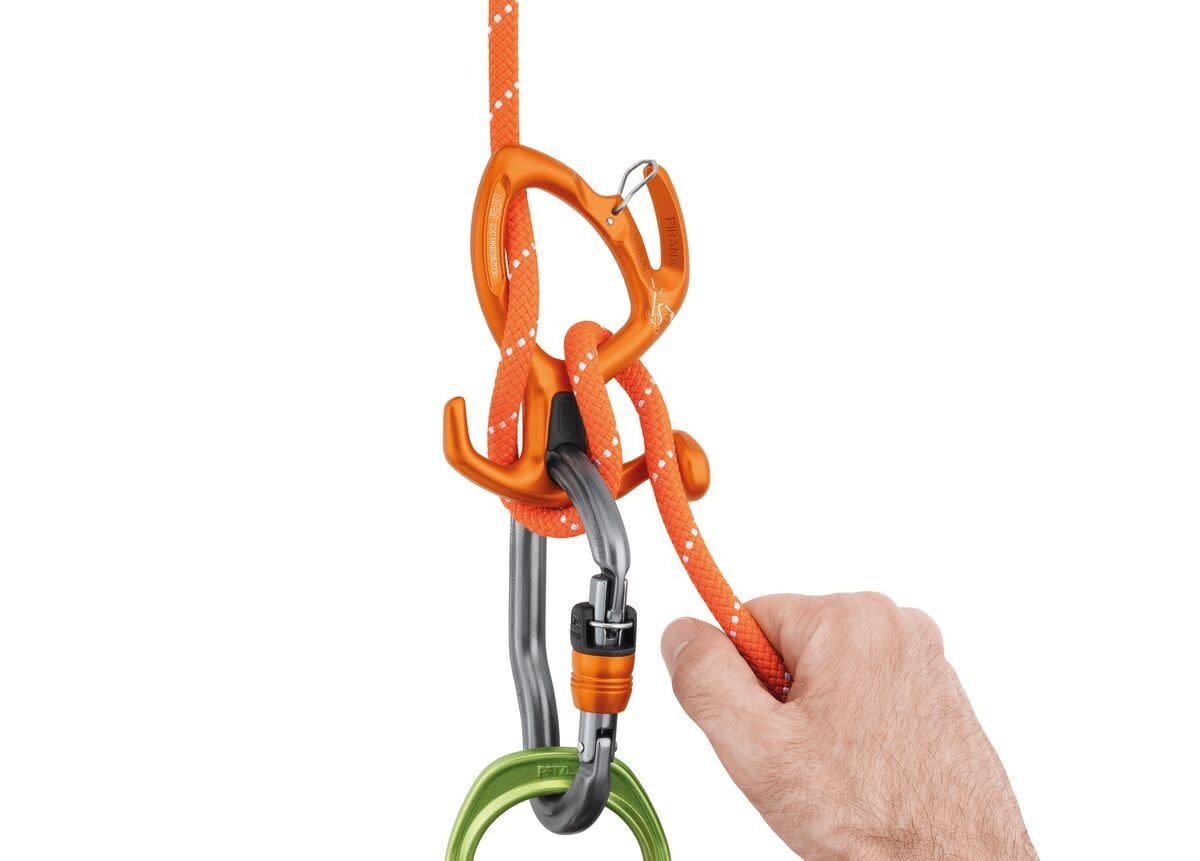 Descender on the Rope with Carabiner Stock Image - Image of