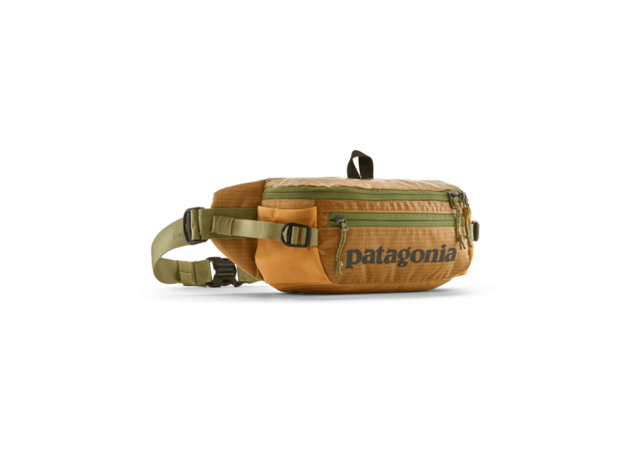 Patagonia Black Hole Waist Pack 5L