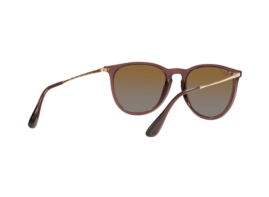 Ray-Ban Erika Transparent Dark Brown Frame Brown Gradient Polarized Lens Sunglasses