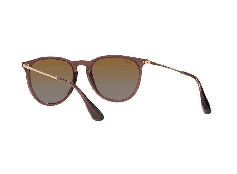 Ray-Ban Erika Transparent Dark Brown Frame Brown Gradient Polarized Lens Sunglasses