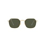 Ray-Ban Jim Arista Frame Green Lens Sunglasses