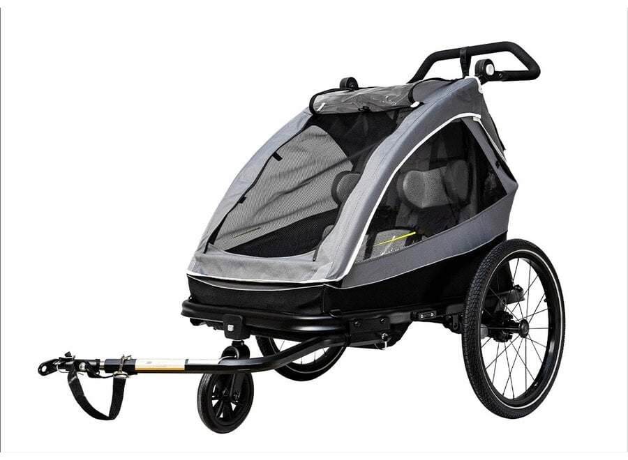 Aventon Double Seat Child Trailer