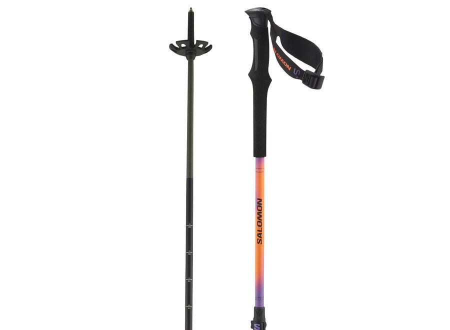 Salomon QST CARBON S3  Ski Poles