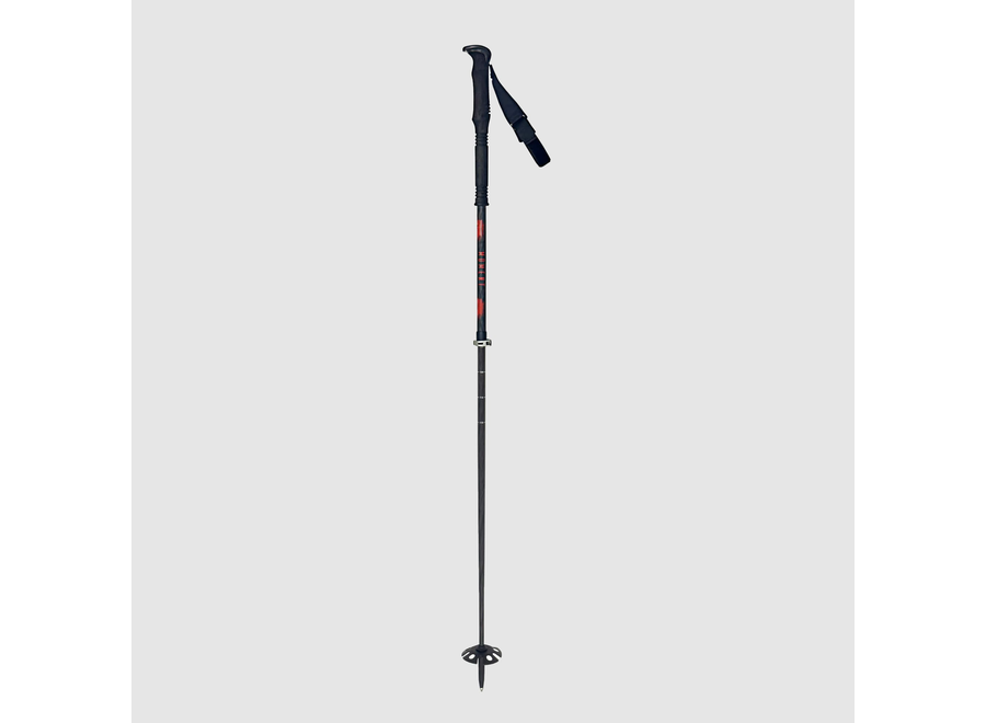 Moment Voyager Ski Pole