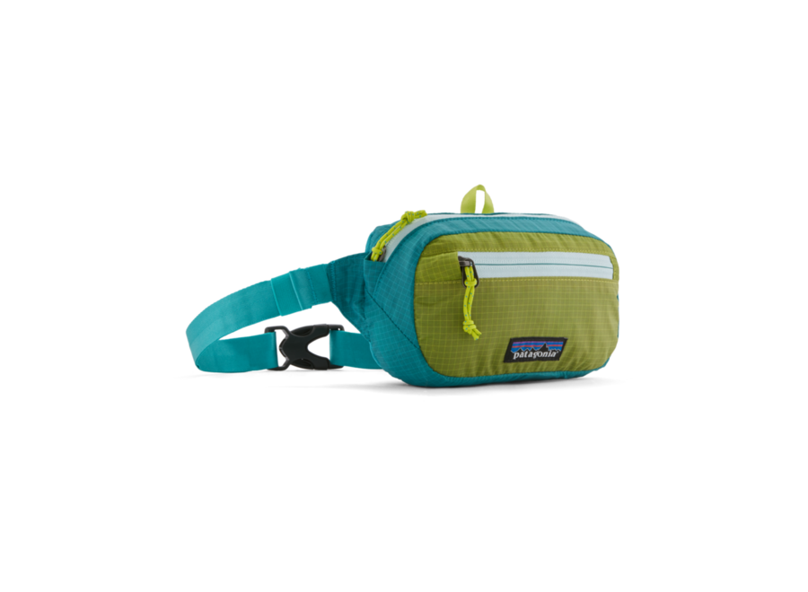 Patagonia travel hip pack 3l discount