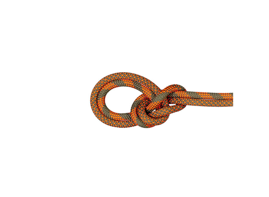 Mammut 9.5 Crag Dry Climbing Rope