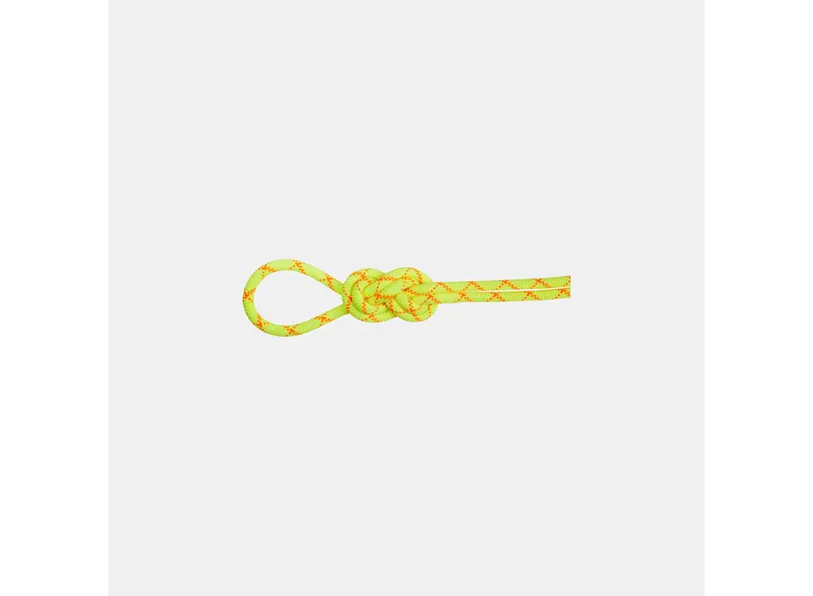 Mammut 9.5 Alpine Core Protect Dry Rope 70M halo/vibrant orange