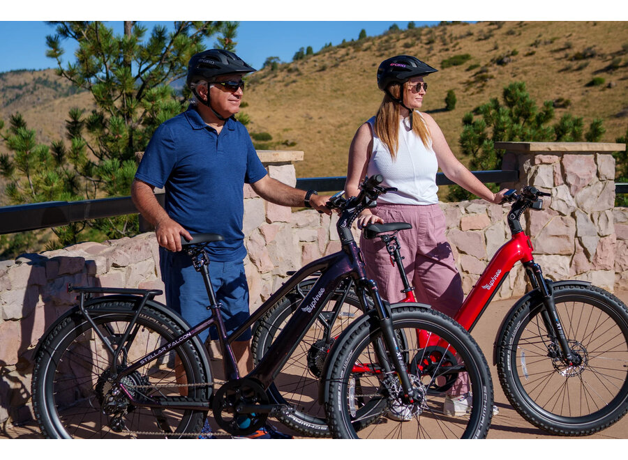 Euphree Stellar Falcon Mid-Step Ebike