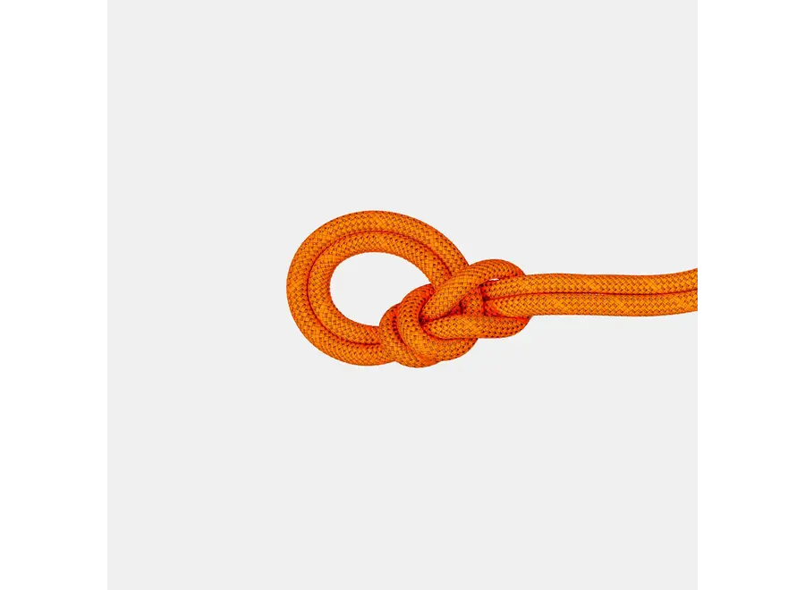 Mammut 9.8mm Crag Dry Rope Safety Orange 70M