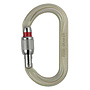 Petzl Oxan Steel Oval Locking Carabiner