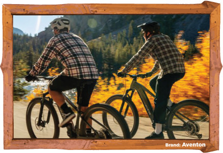 eBikes