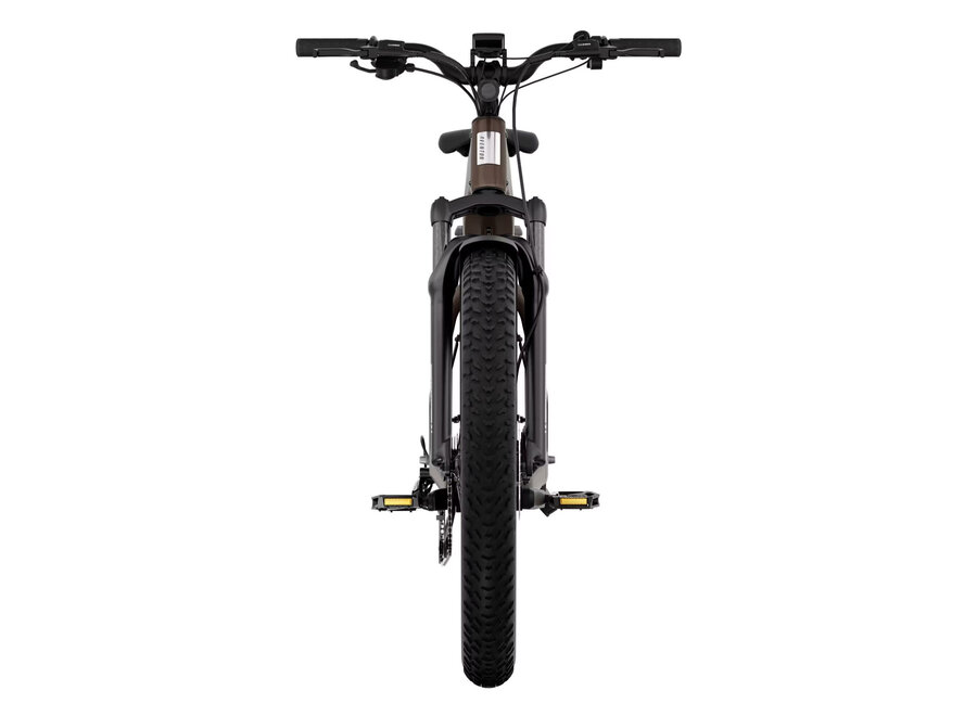 Aventon Aventure 3 Step Through Fat Tire Ebike