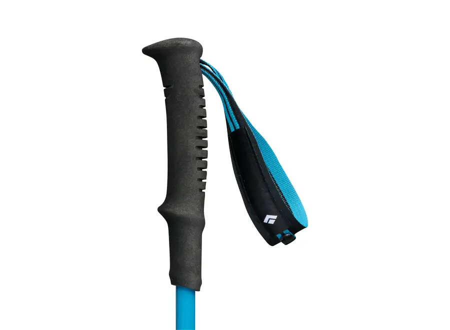 Black Diamond Distance Carbon FLZ Poles