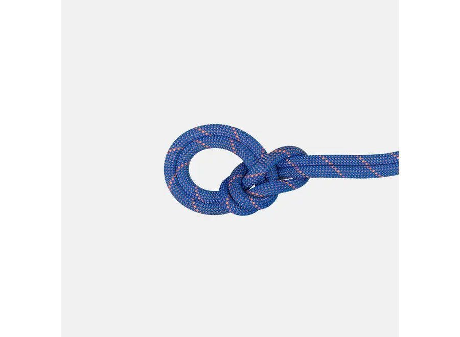 Mammut 9.0 Crag Sender Dry Rope 100M ice/sunrise
