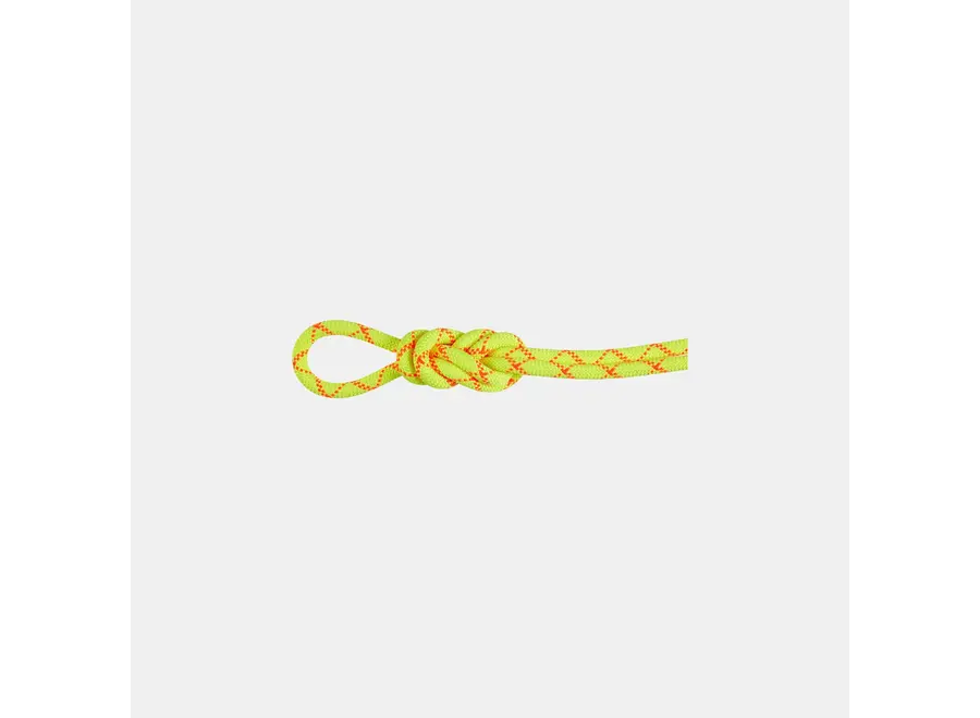 Mammut 9.5 Alpine Core Protect Dry Rope 60M halo/vibrant orange