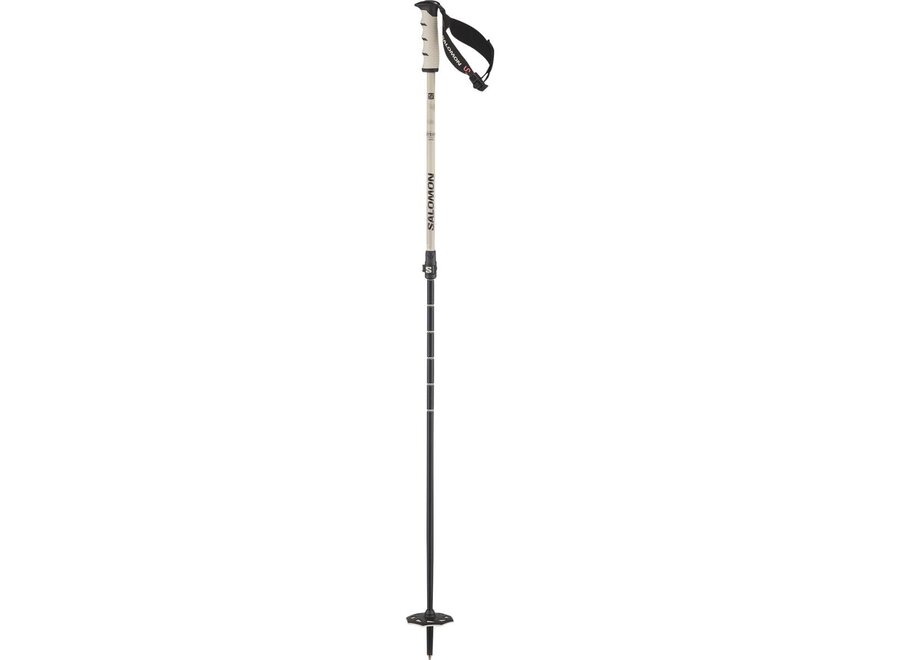Salomon Steep Vario S3 Ski Poles