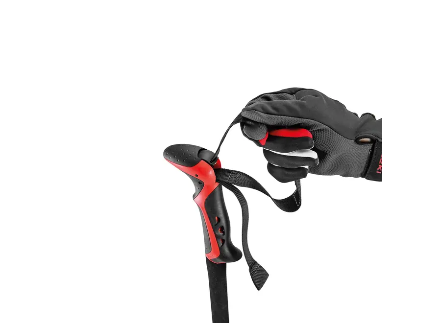 Leki Haute Route 2 Ski Poles