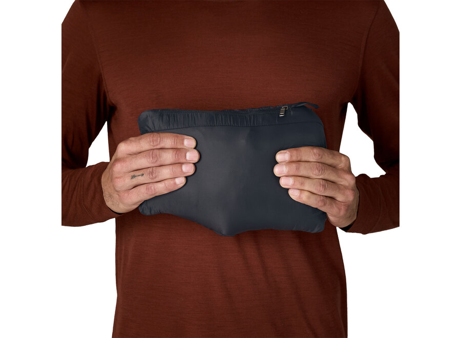 Patagonia Down Sweater Hoody