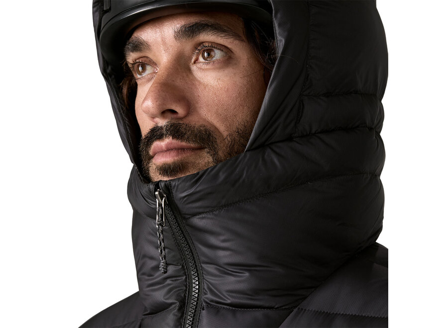 Patagonia Fitz Roy Down Hoody