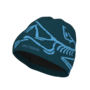 Arcteryx Bird Head Toque