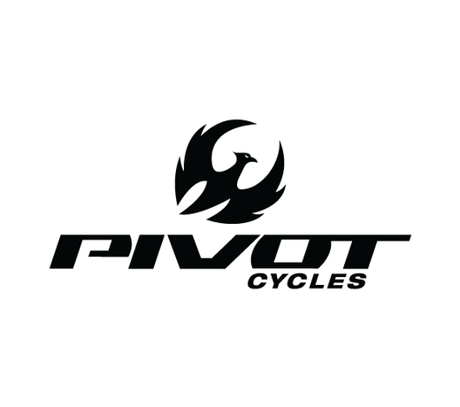Pivot Cycles