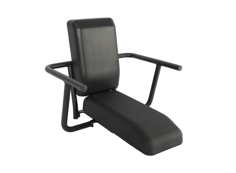 Aventon Passenger's Chair for Abound LR and SR