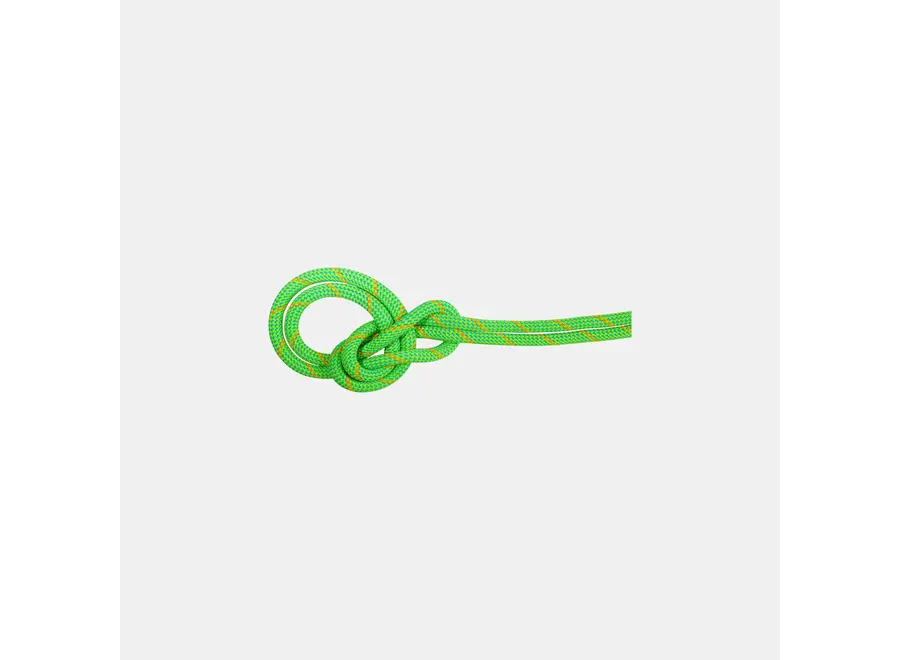 Mammut 9.5 Crag Eco Dry Climbing Rope Green/Ocean 70M