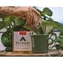 Bivouac Coffee The Crux - Instant Coffee (6-cup box)