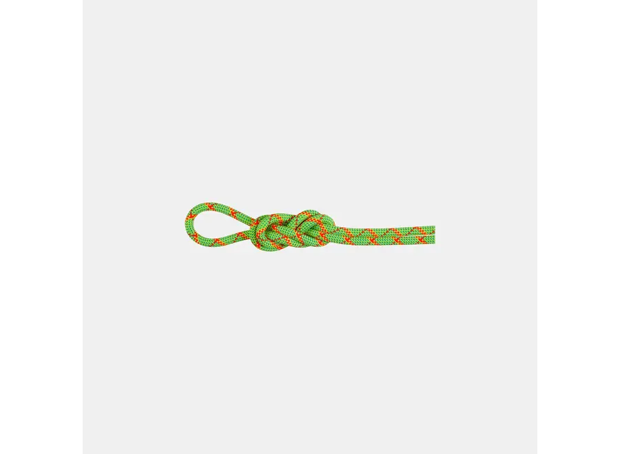 Mammut 8.0 Alpine Core Protect Dry Rope 60M