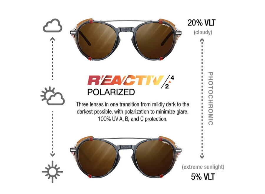 Julbo Legacy Translucent Black Red Frame REACTIV 2-4 Polarized Lens Sunglasses