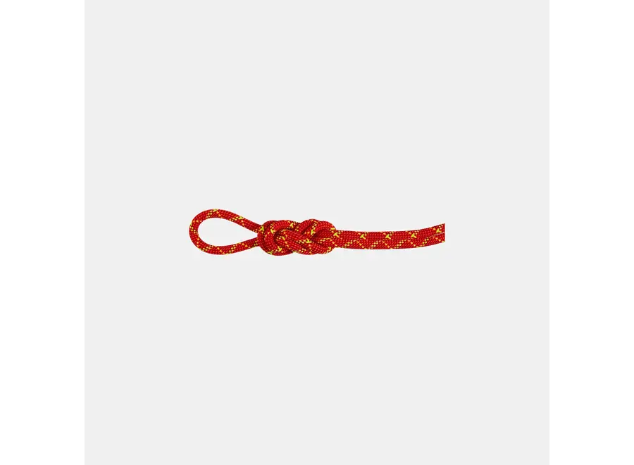 Mammut 8.0 Alpine Core Protect Dry Rope 60M