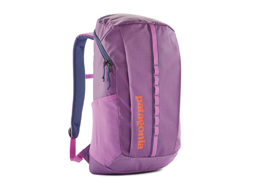 Patagonia Black Hole Pack 25L Clearance