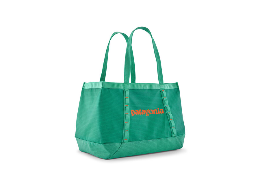 Patagonia Black Hole Tote 25L