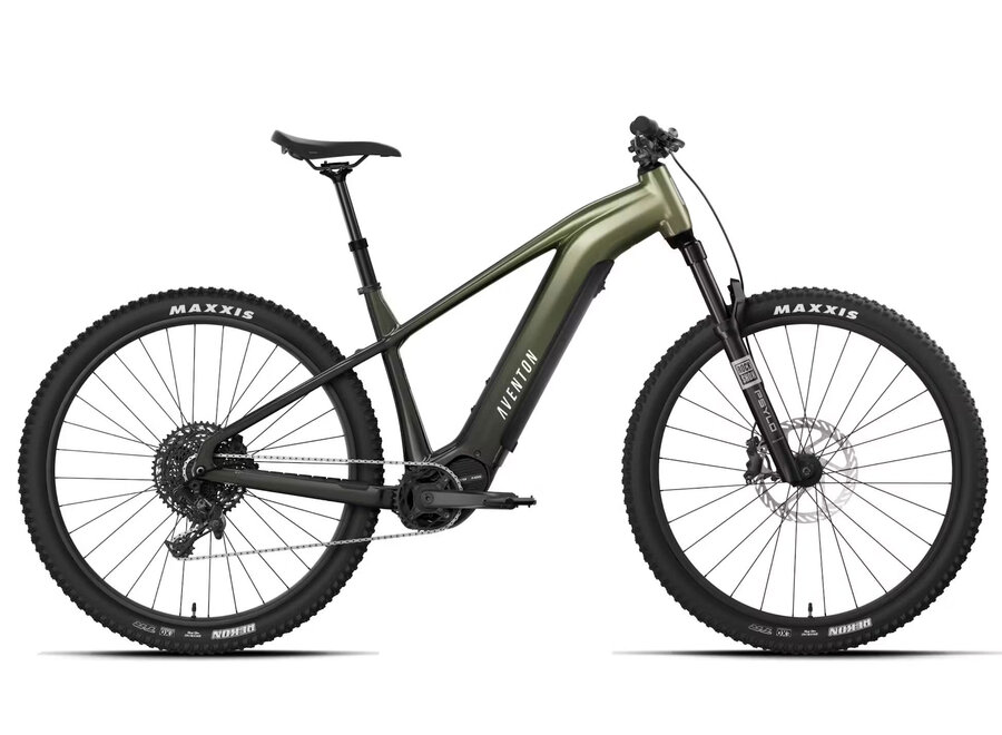 Aventon Ramblas ADV eMTB Ebike