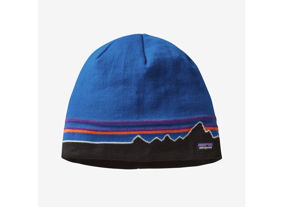 Patagonia Beanie Hat