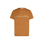 Icebreaker Merino 150 Tech Lite SS Tee Range Stripes