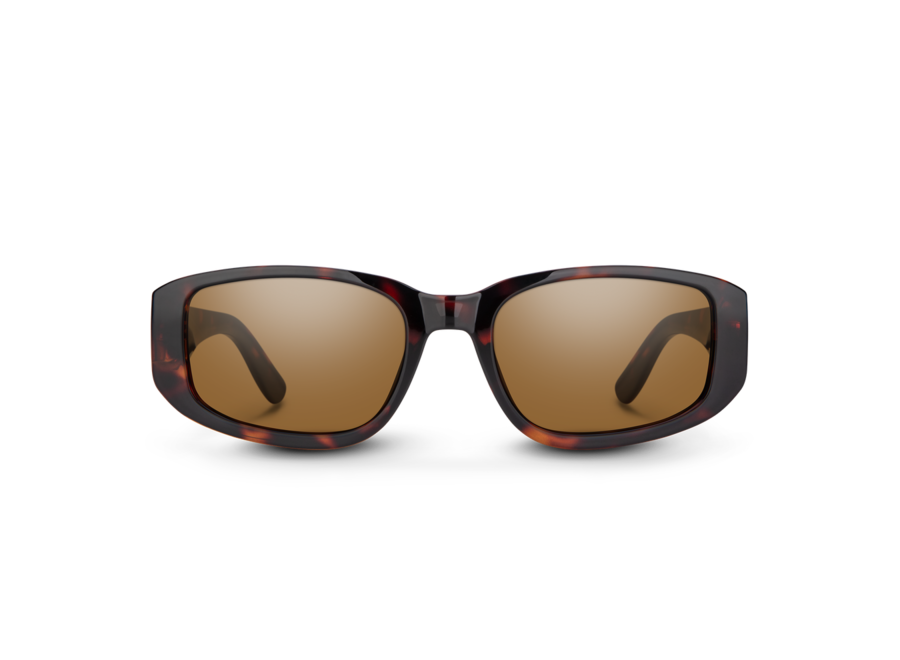 Suncloud Lane Tortoise Polarized Brown Sunglasses